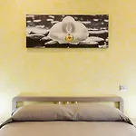 La Vite Vaticana